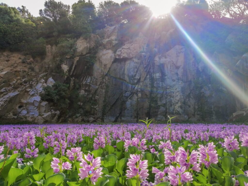 Arbatax Park - Parco